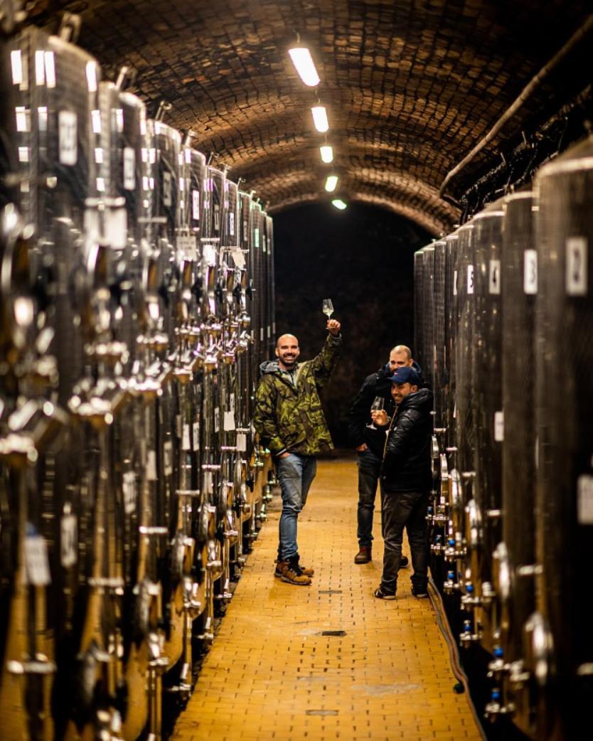 Turistická ubytovna Vinařství ZD Němčičky Exterior foto