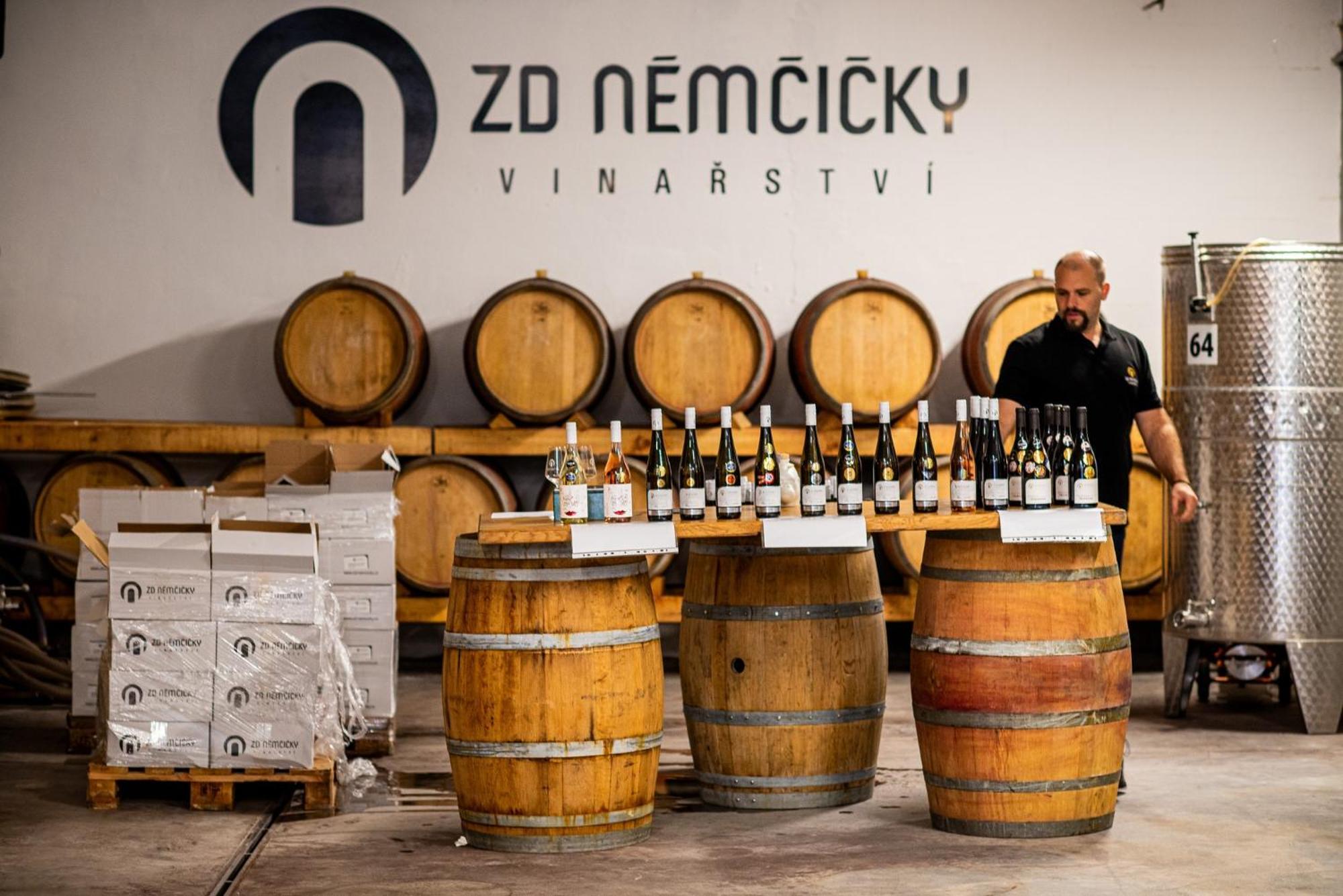 Turistická ubytovna Vinařství ZD Němčičky Exterior foto